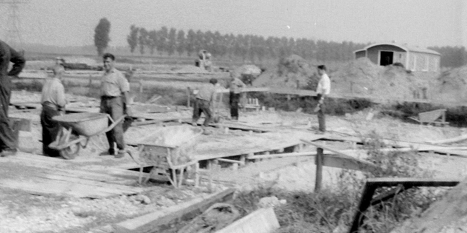Ontstaan van Firma Berends
